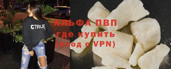 гашик Пересвет