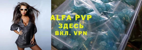 гашик Пересвет