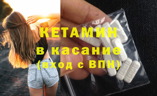 гашик Пересвет