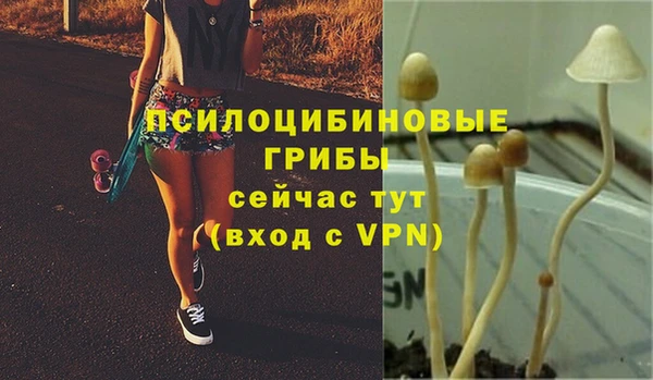ПСИЛОЦИБИНОВЫЕ ГРИБЫ Переславль-Залесский