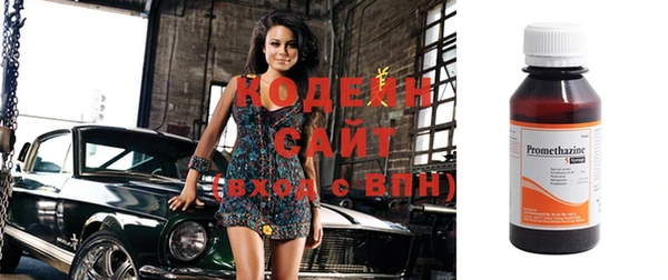 гашик Пересвет