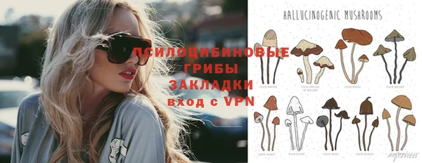 спайс Елабуга