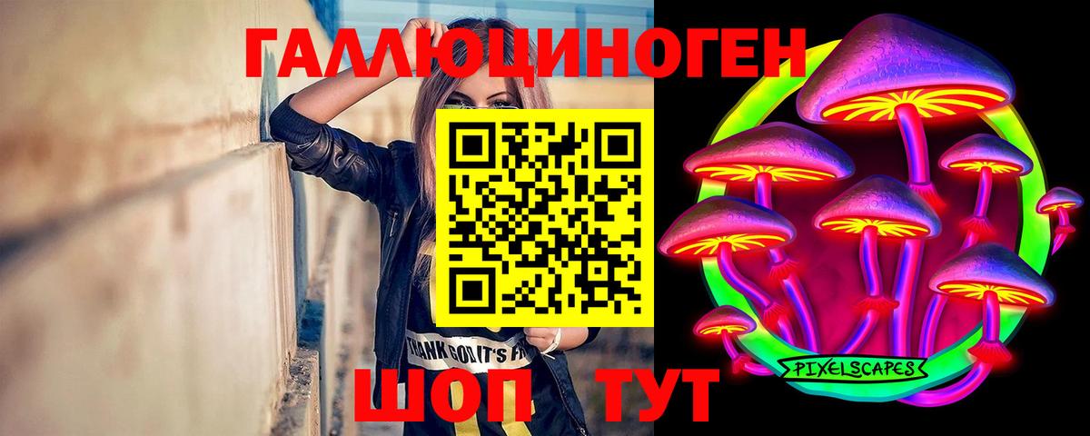 Псилоцибиновые грибы Cubensis Сланцы